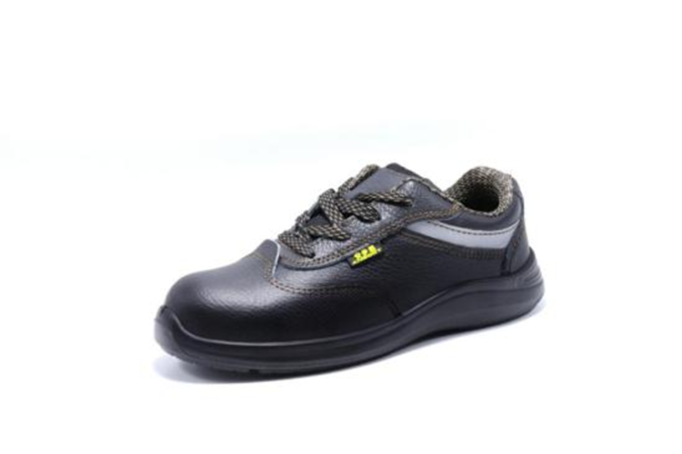 我國勞保鞋目前大致可分為多少個種類呢?